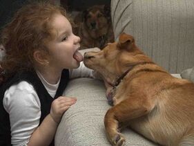 A kid kisses a dog and infected with parasites