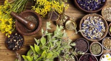 herbs help get rid of parasites